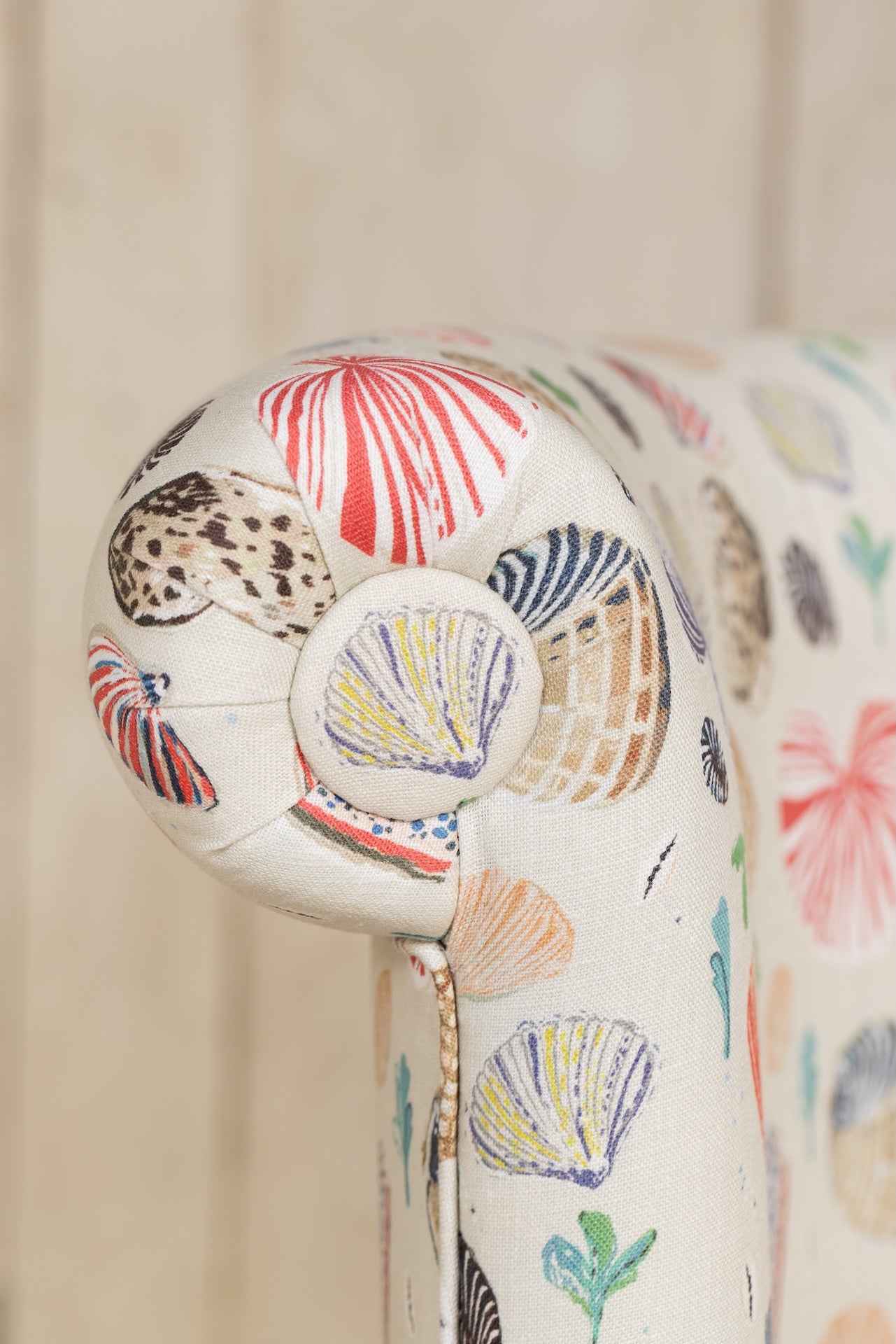 Little Nautilus - Sand