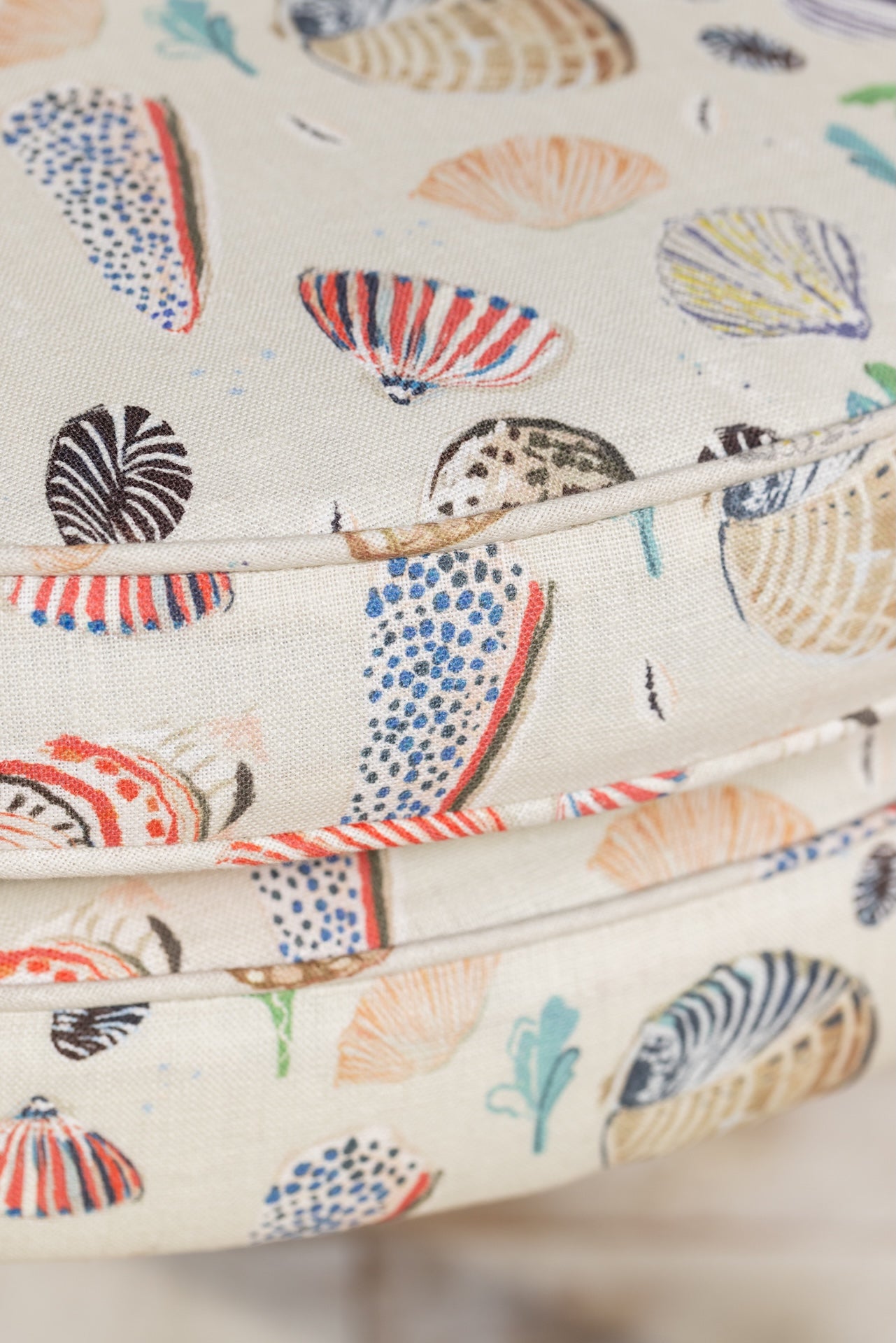 Little Nautilus - Sand