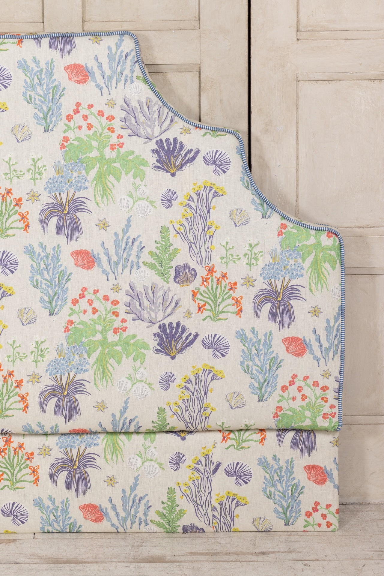 Aster and Cockle - Sand