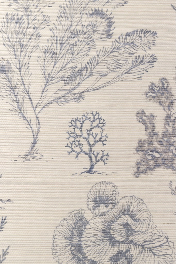 Coral Etchings - OCEAN