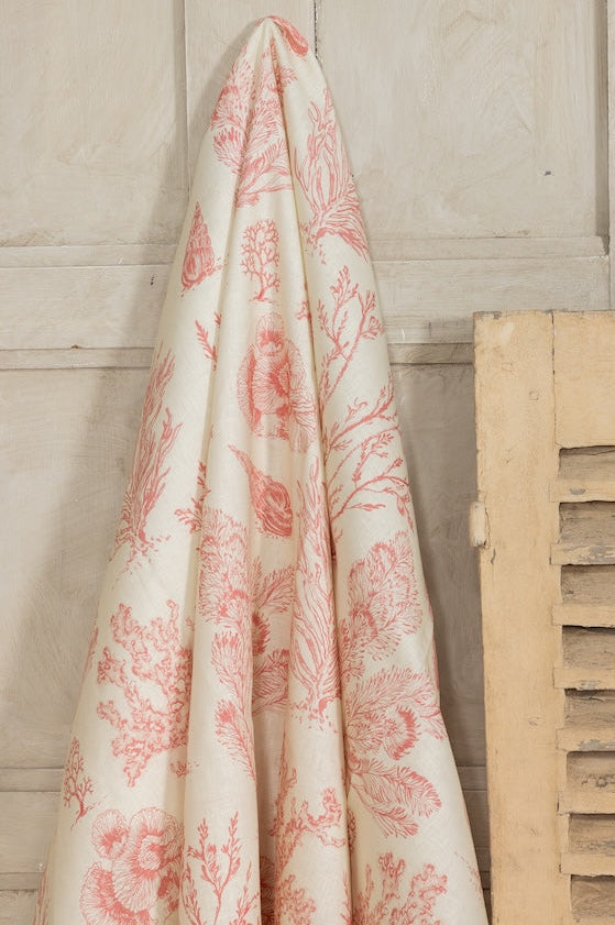 Coral Etchings - Vintage Coral