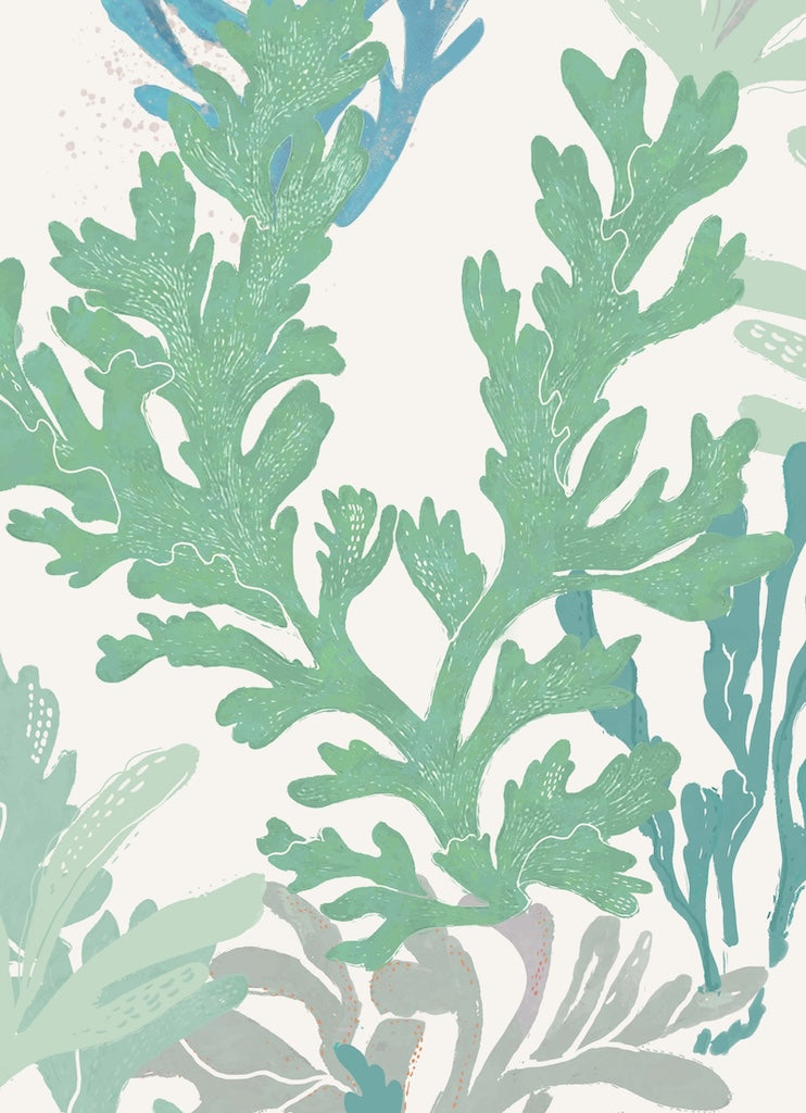 Seaweed Sway - OCEAN MULTI