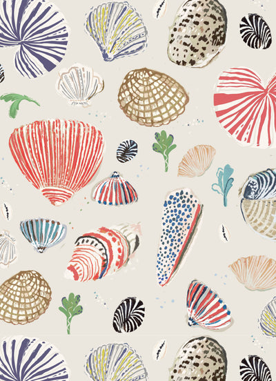 Little Nautilus - SAND