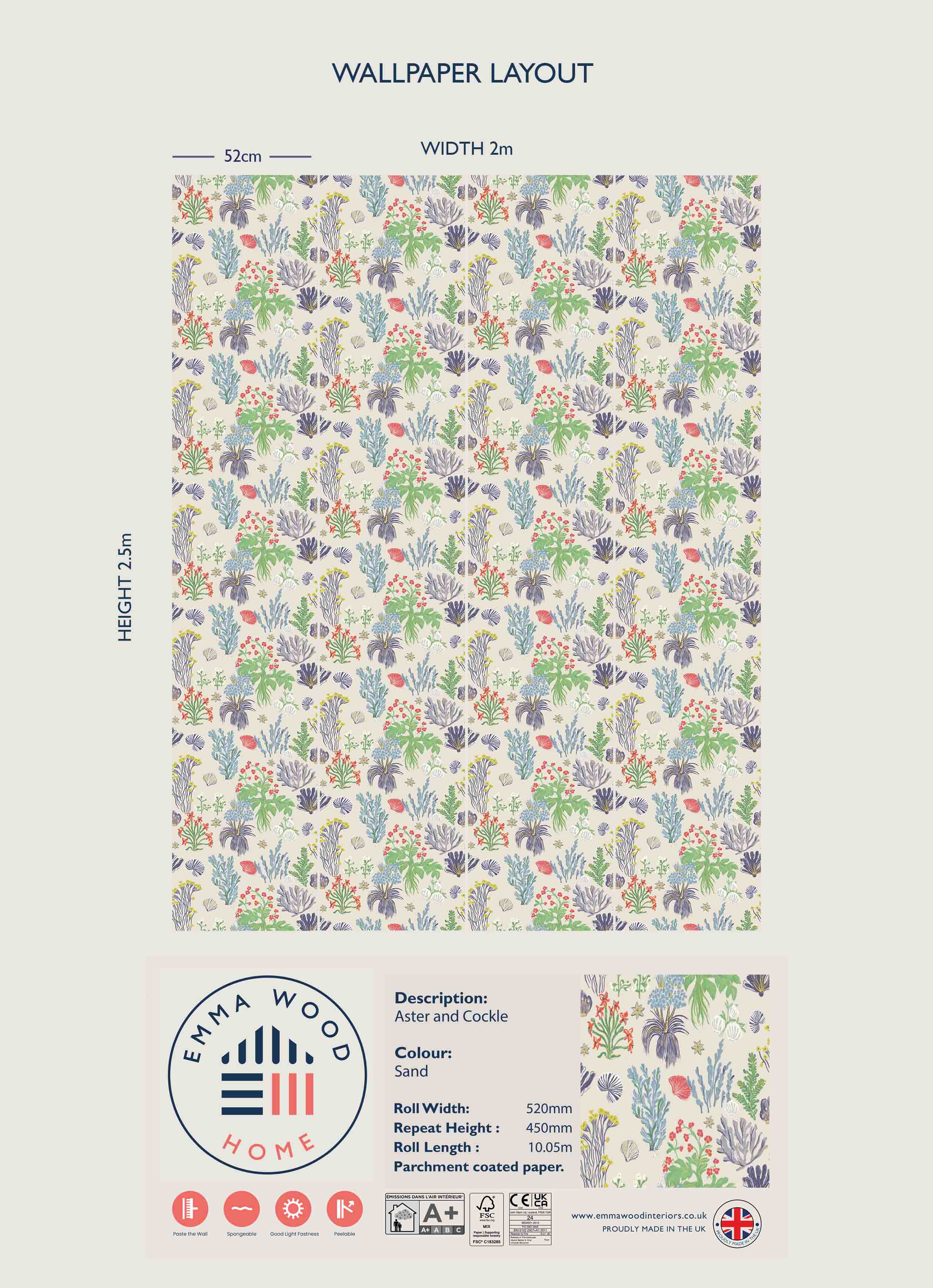 Aster and Cockle - SAND