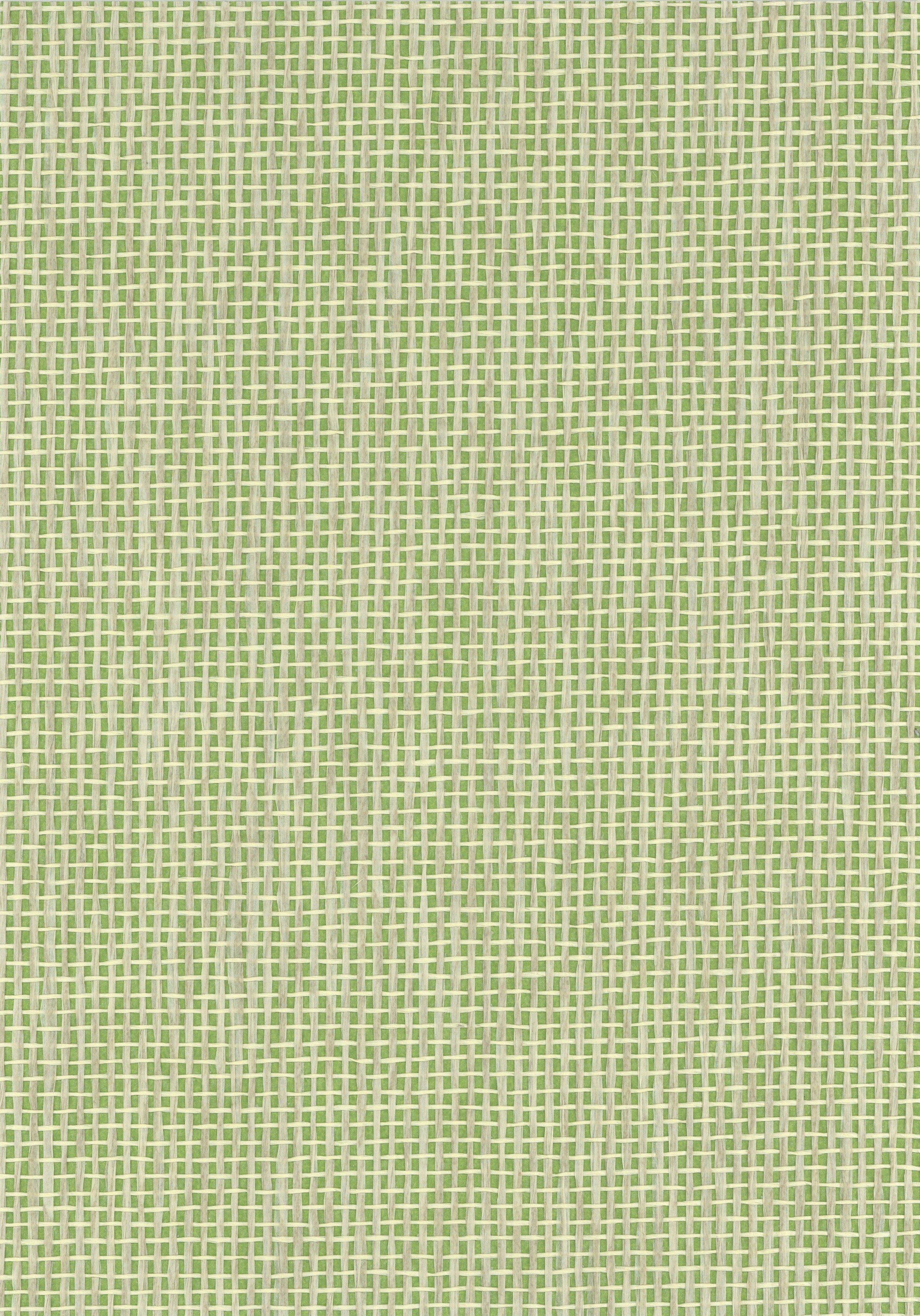 Apple Weave - Textured Paper Weave