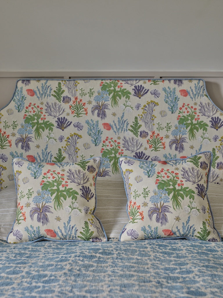 Aster and Cockle - Sand