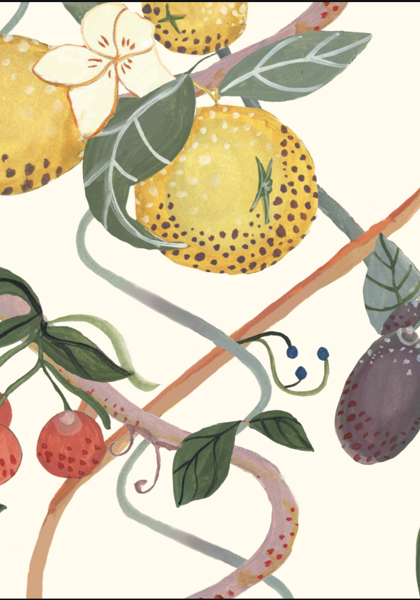 Twisted Fruits - Parchment