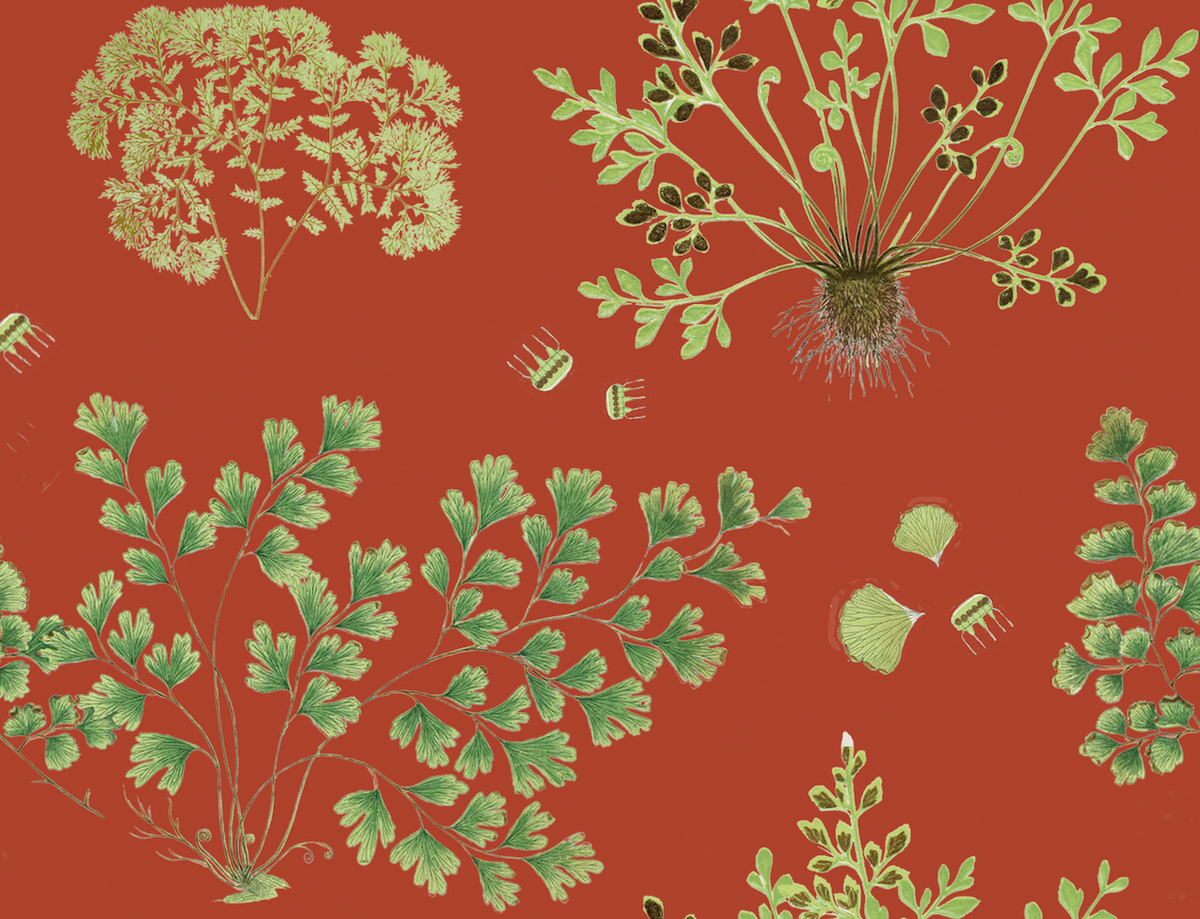 The Fernery - Burnt Orange
