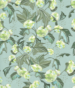 Viburnum - Aqua