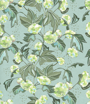 Viburnum - Aqua