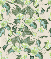 Viburnum - Parchment