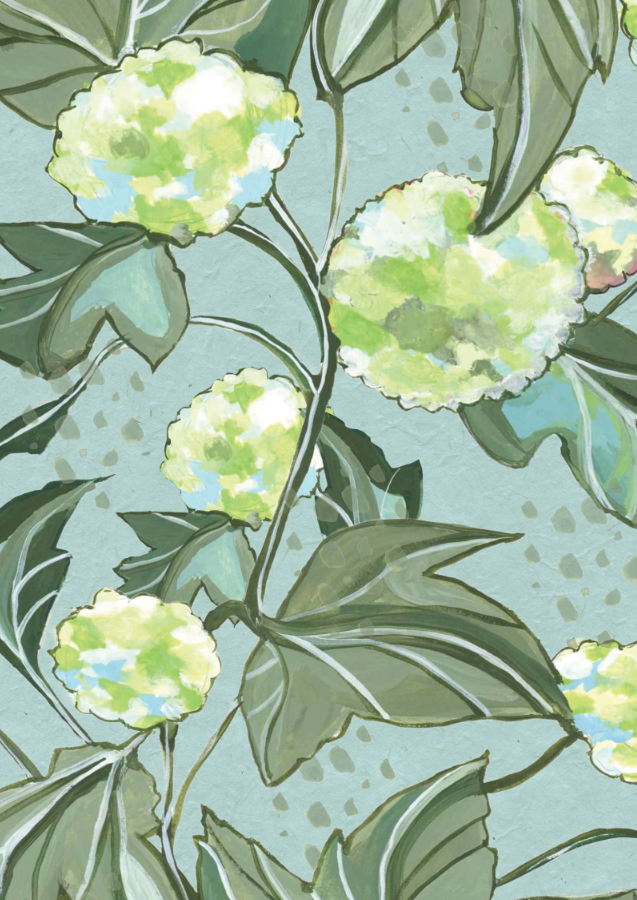 Viburnum - Aqua