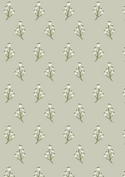 Myrtle Berry - Sage
