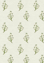 Myrtle Berry - Chalk