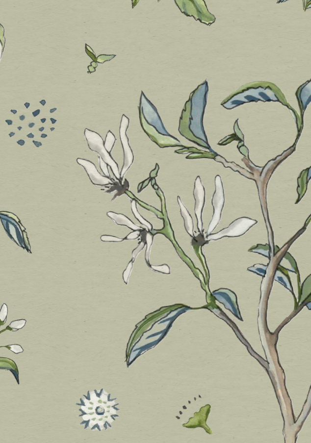Star Magnolia - Sage