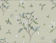 Star Magnolia - Sage