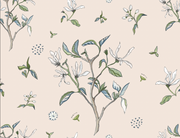Star Magnolia - Vintage Pink
