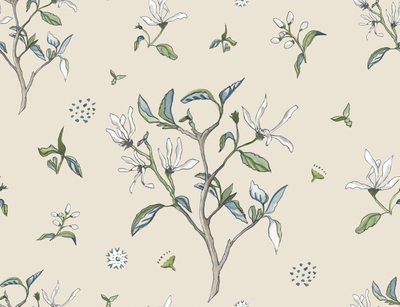 Star Magnolia - Parchment