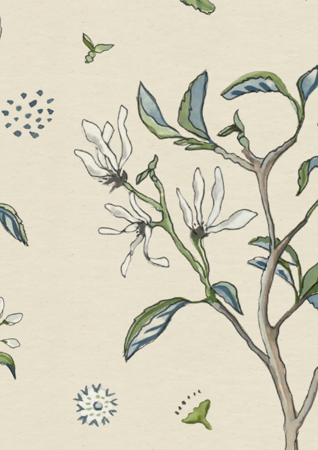 Star Magnolia - Parchment
