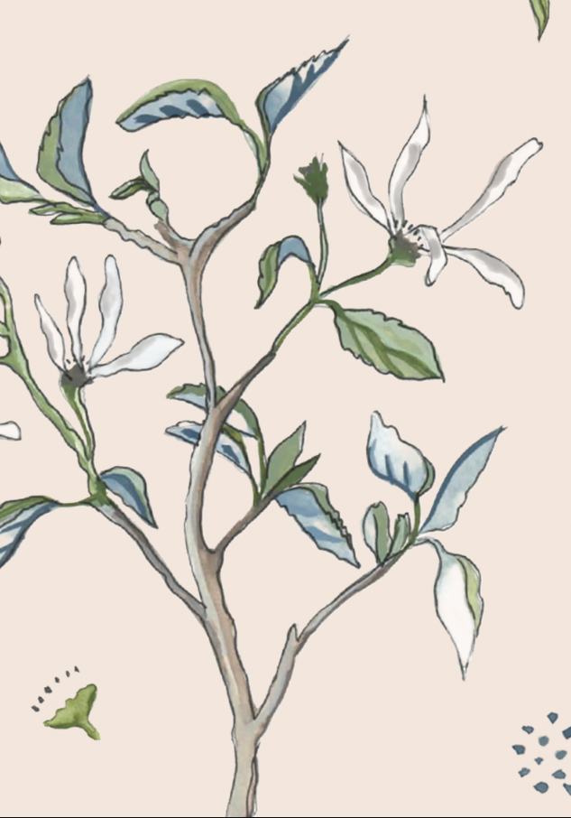 Star Magnolia - Vintage Pink