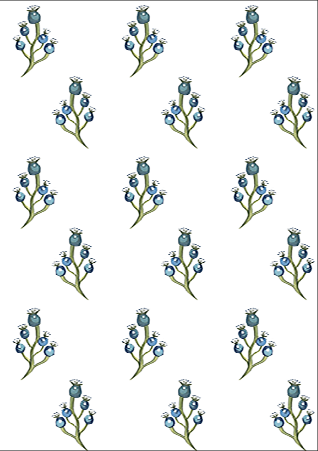 Blue Berry - Chalk