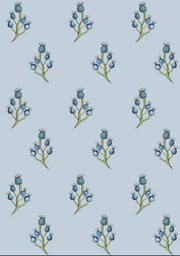 Blue Berry - Sky