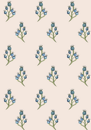 Blue Berry - Vintage Pink