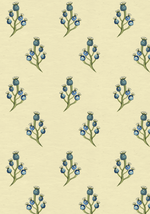 Blue Berry - Lemon