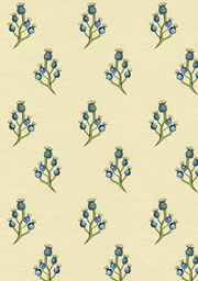 Blue Berry - Lemon