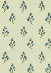 Blue Berry - Mint