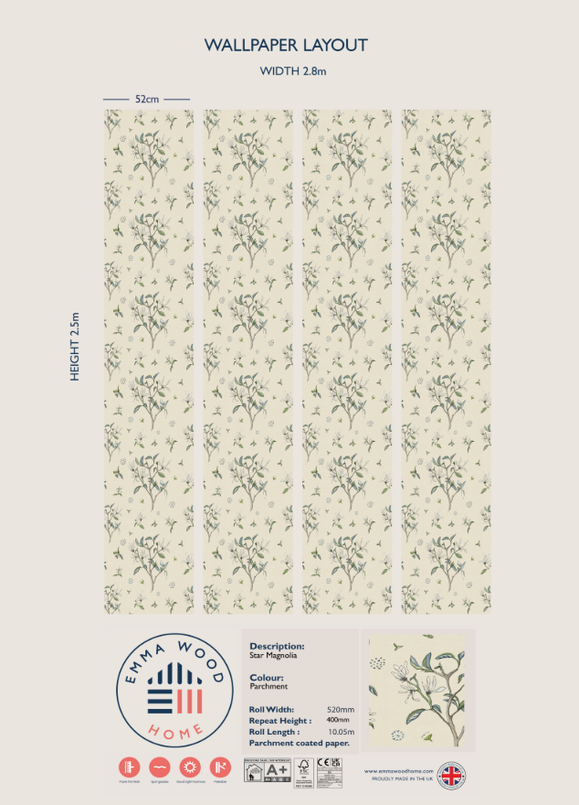 Star Magnolia - Parchment