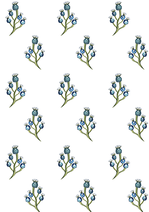 Blue Berry - Chalk