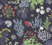 Aster and Cockle - Navy