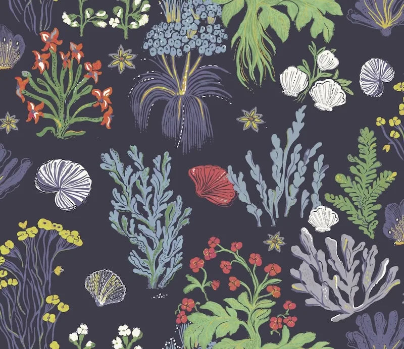 Aster and Cockle - Navy