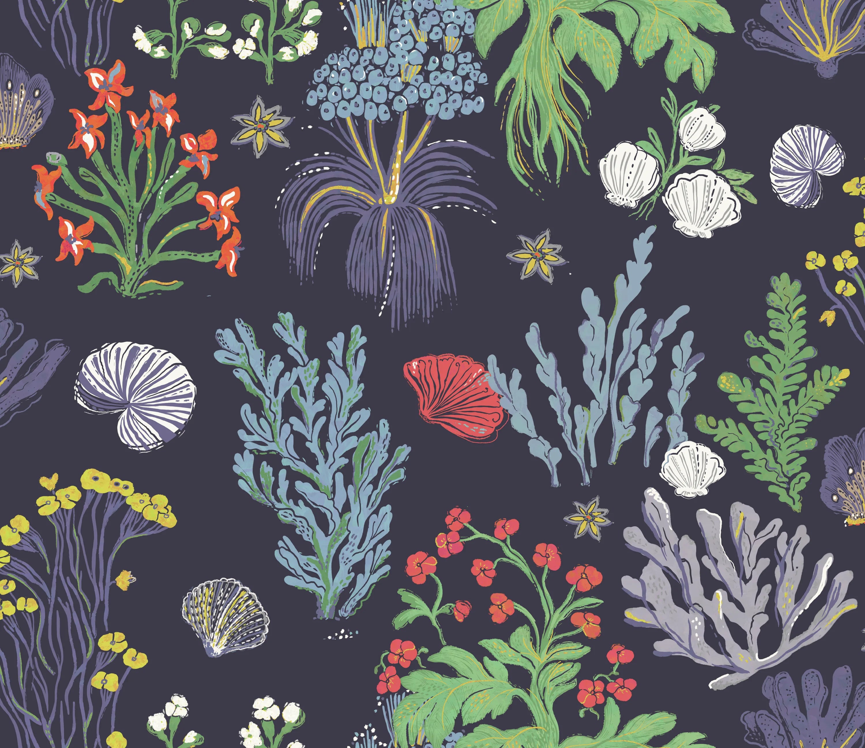 Aster and Cockle - NAVY