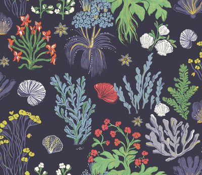 Aster and Cockle - NAVY