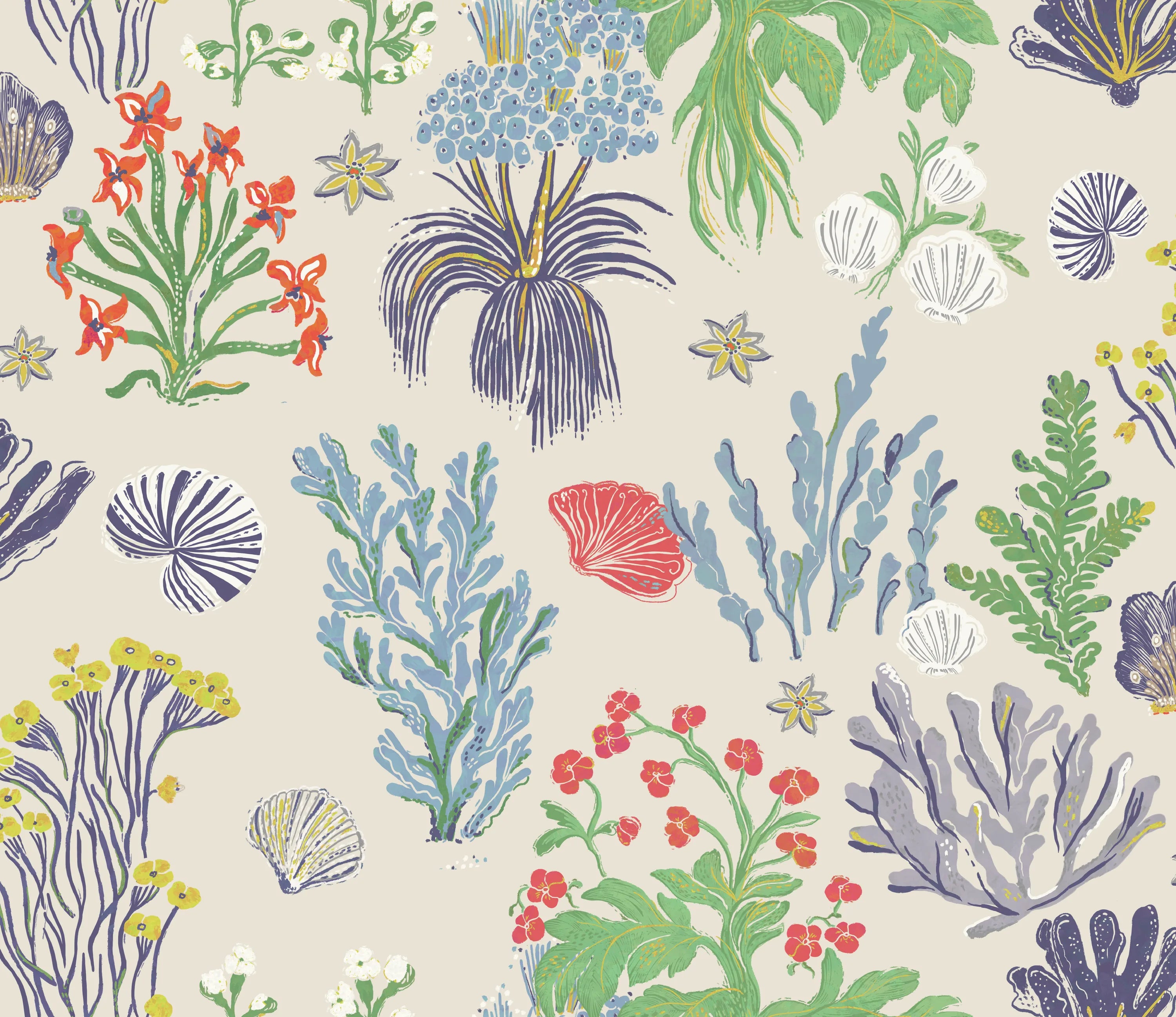 Aster and Cockle - Sand