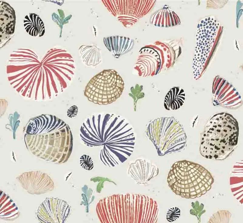 Little Nautilus - Sand