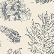 Coral Etchings - Charcoal