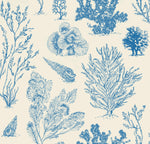 Coral Etchings - OCEAN