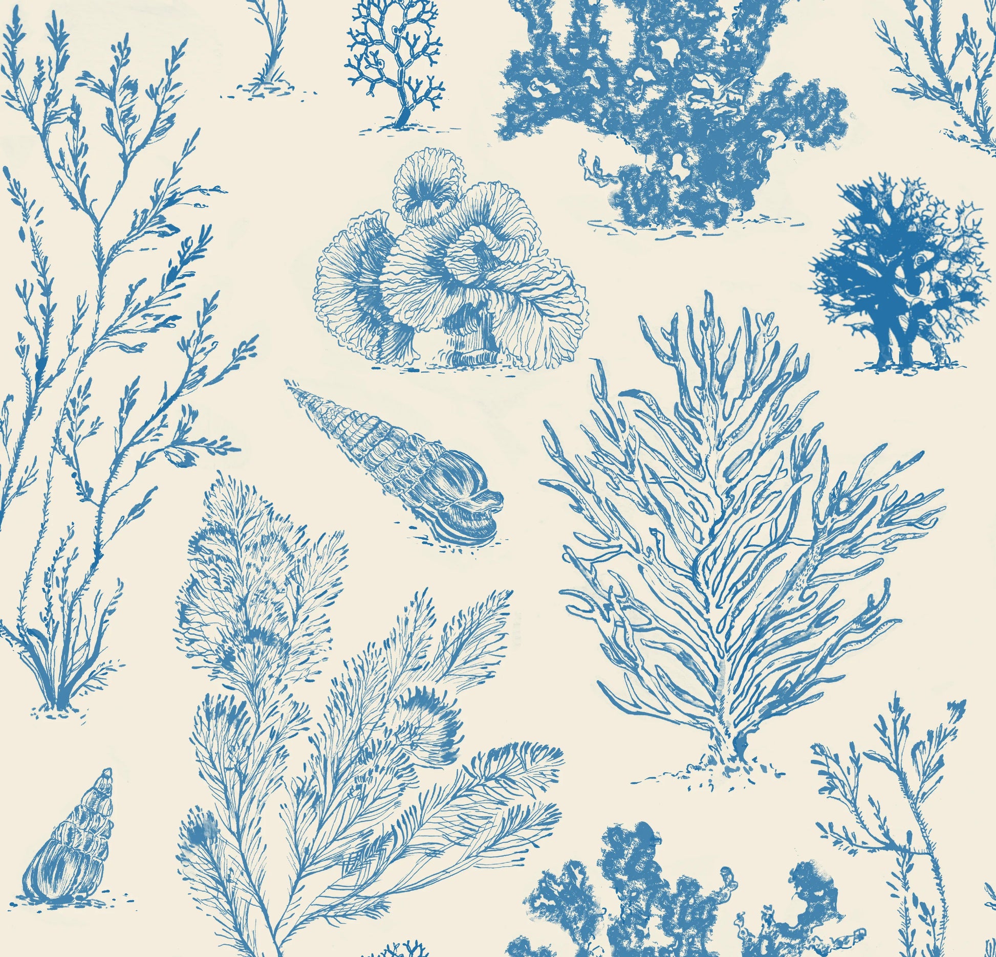 Coral Etchings - OCEAN