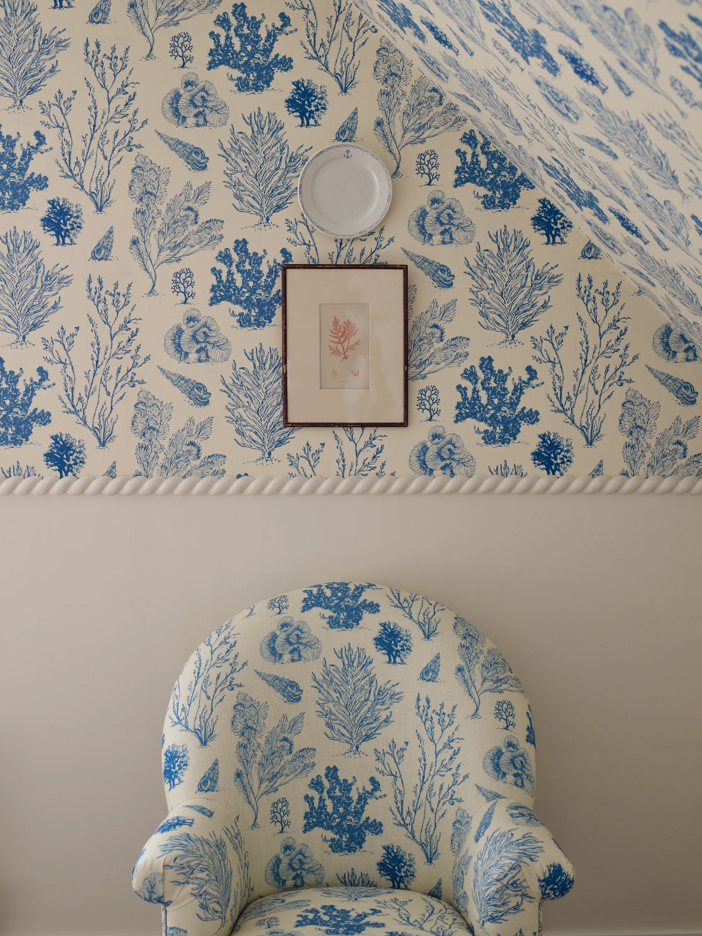 Coral Etchings - OCEAN