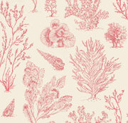 Coral Etchings - VINTAGE CORAL