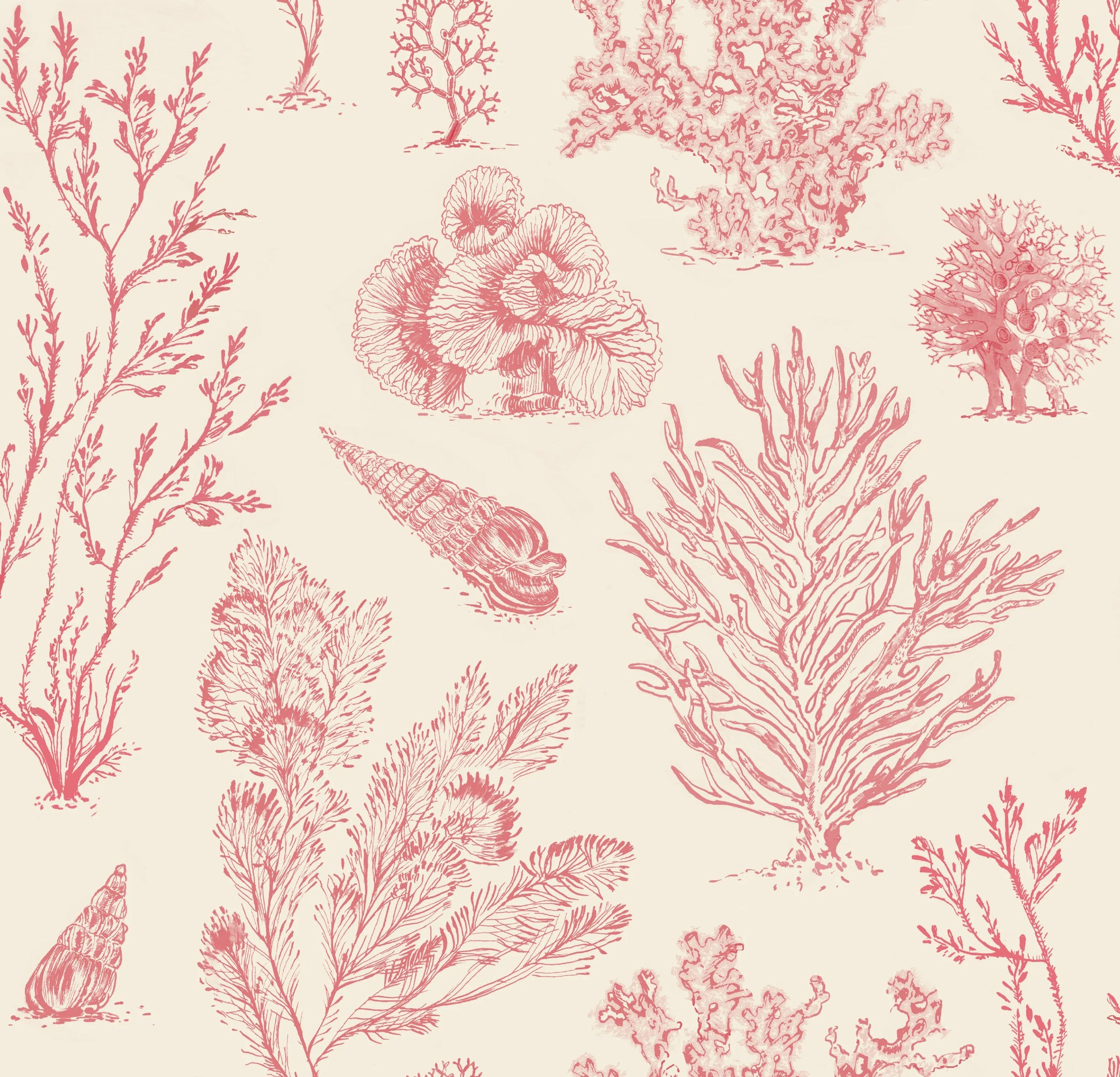 Coral Etchings - VINTAGE CORAL