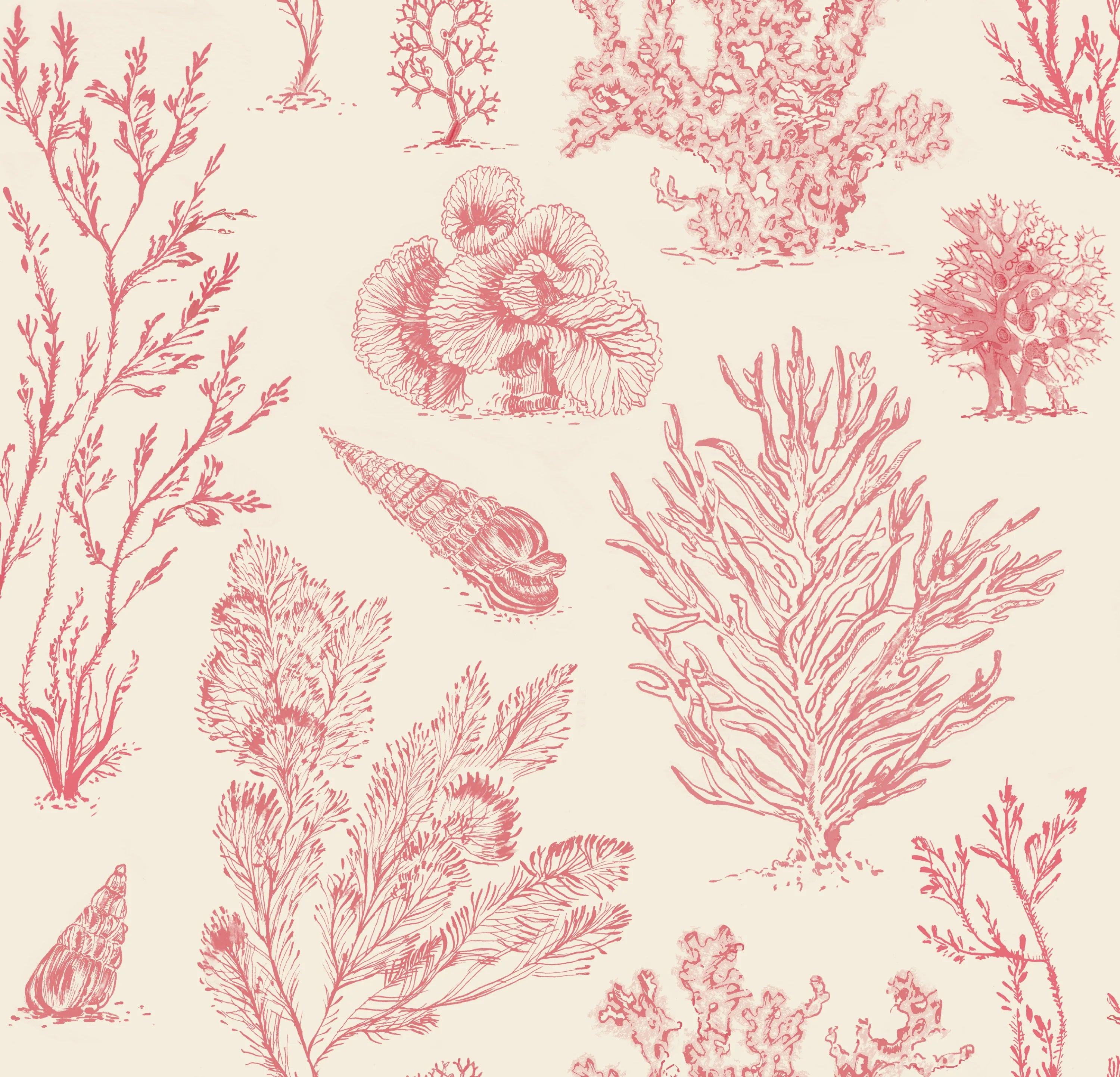 Coral Etchings - VINTAGE CORAL