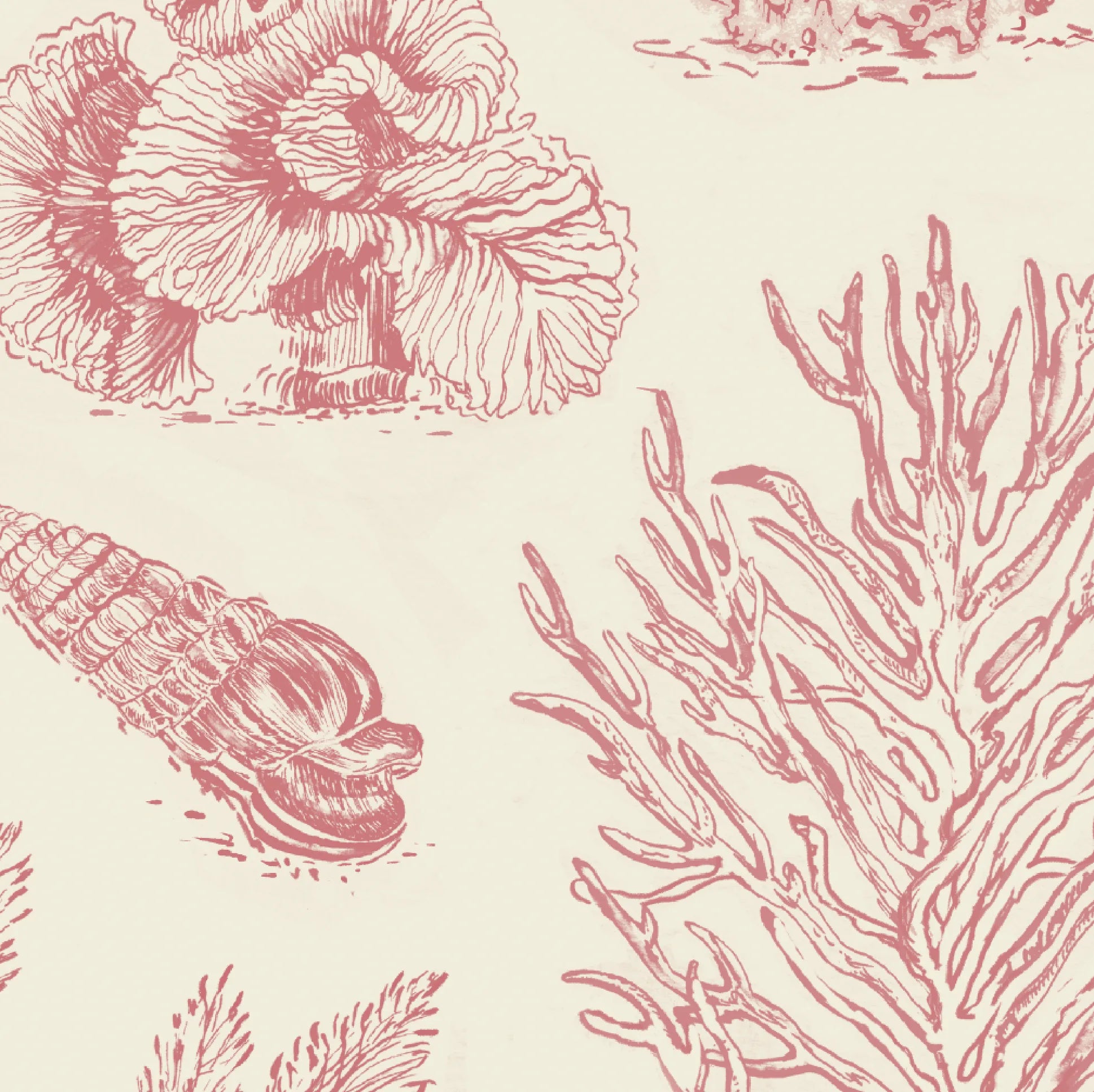 Coral Etchings - Vintage Coral