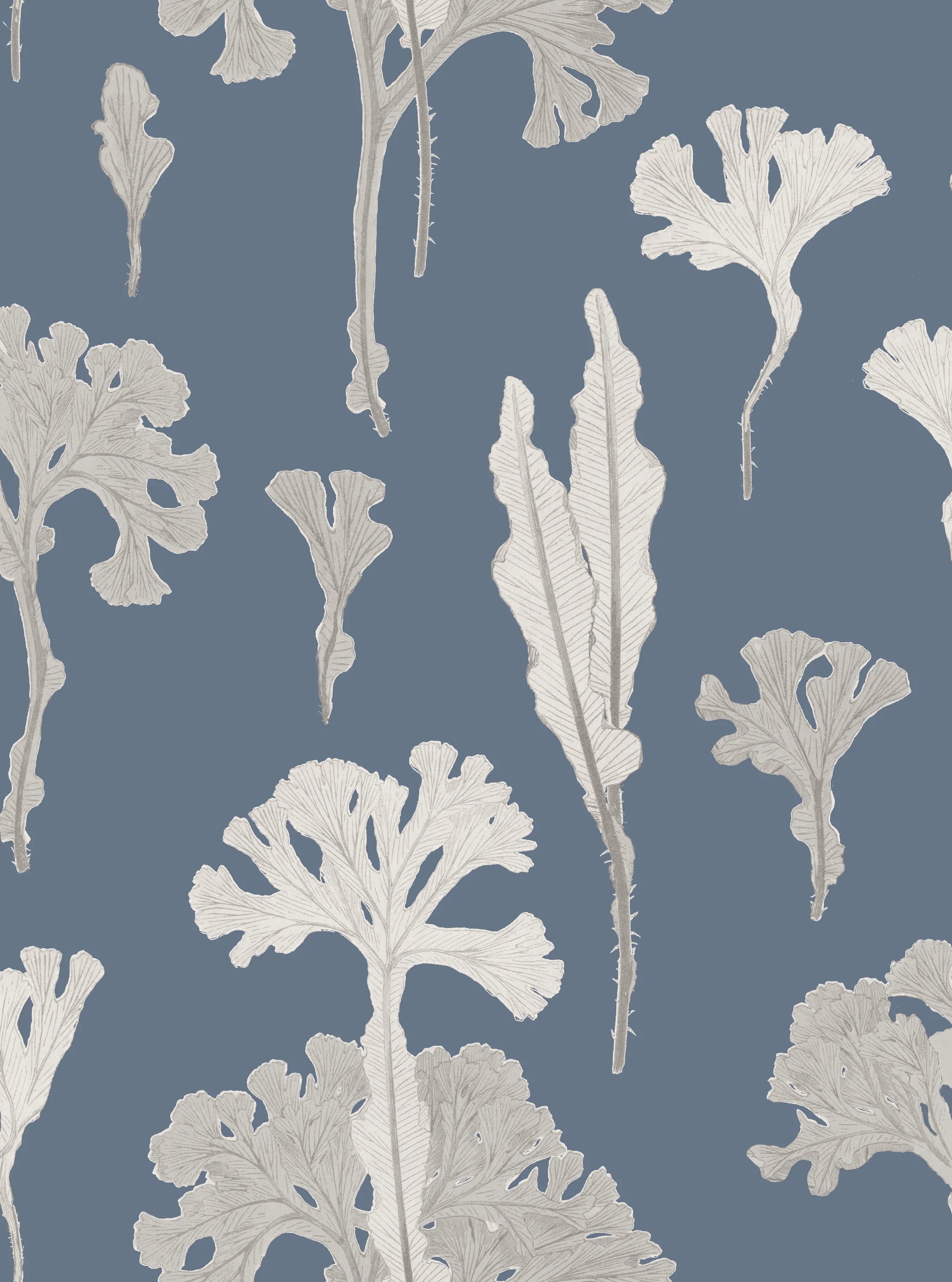 Sea Cabbage - NAVY
