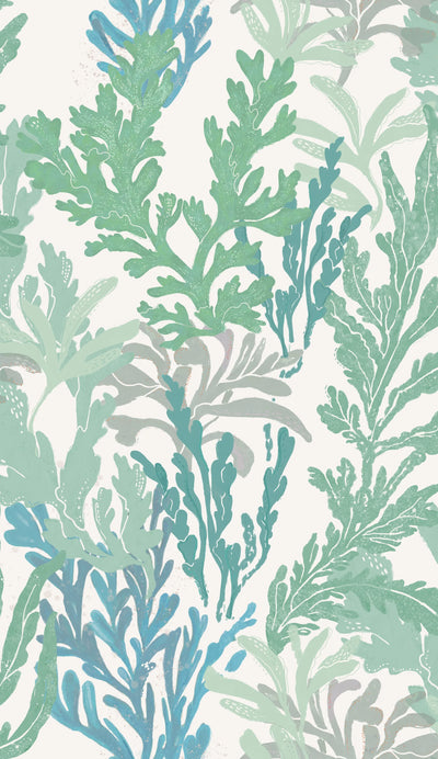 Seaweed Sway - OCEAN MULTI